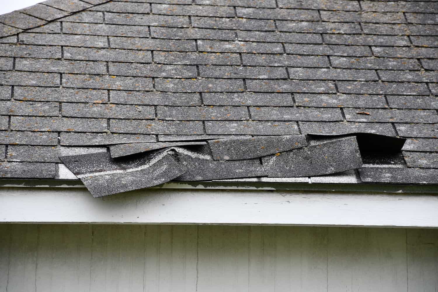 longview storm damage roof