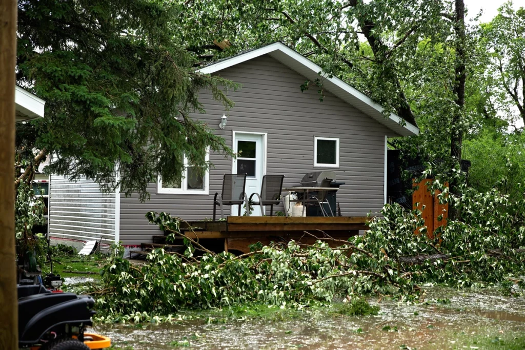 house backyard is covered with fallen trees after storm