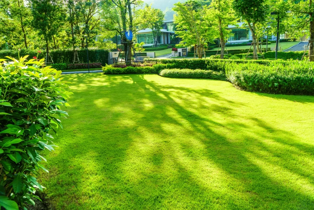 lawn work of professional landscaping company