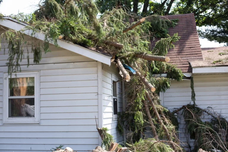 house after storm with fallen trees on it
