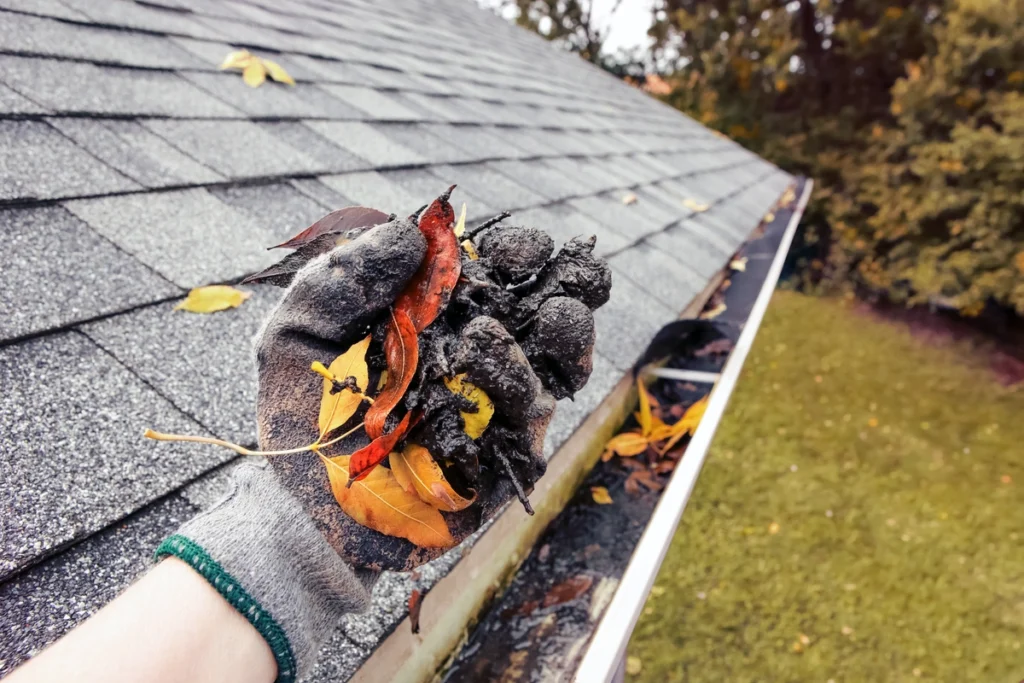 gutter-cleaning-with-glove