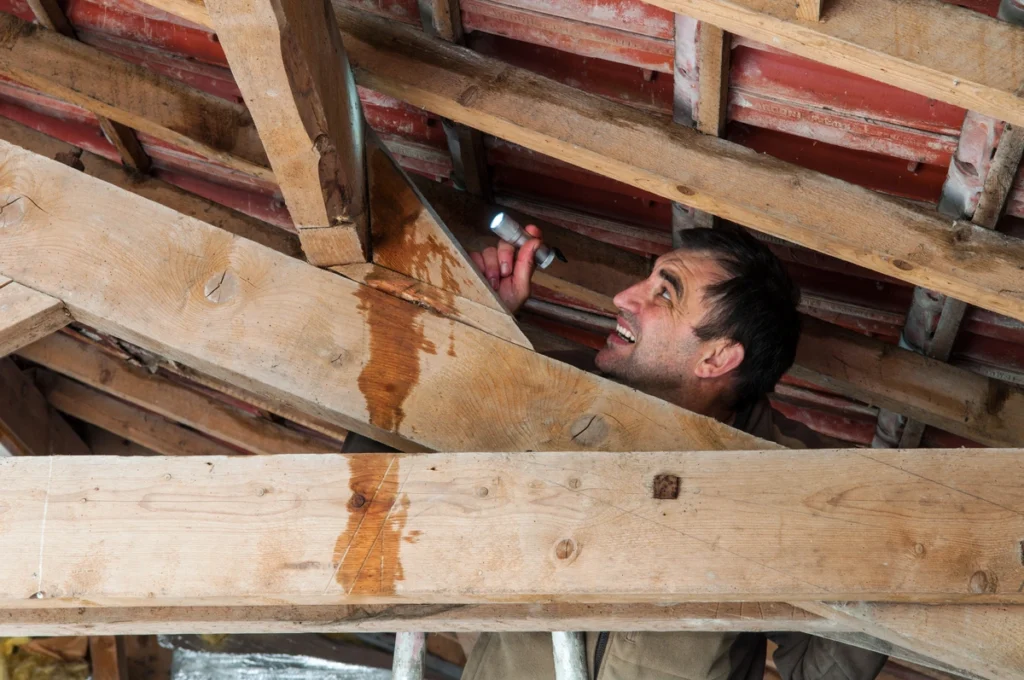 roof leak repair cost-water dripping down attic rafters