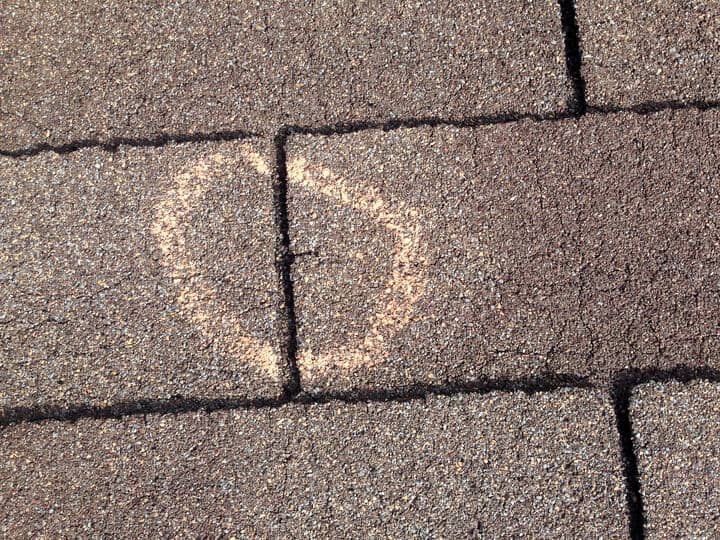 hail damage roof repair-close up image of a circled spot of hail damage on a roof shingle