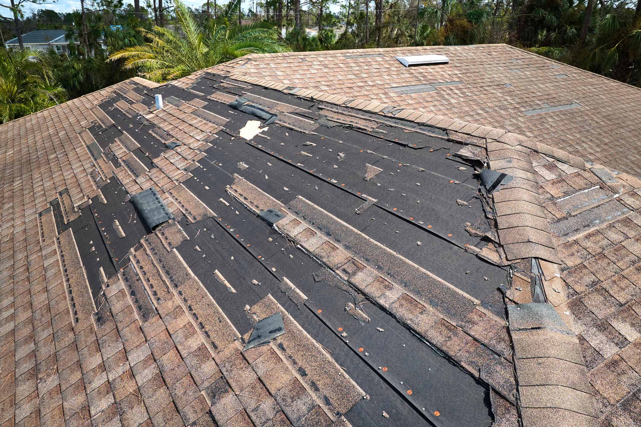 missing shingles-a home roof with large sections of missing shingles surrounded by palm trees