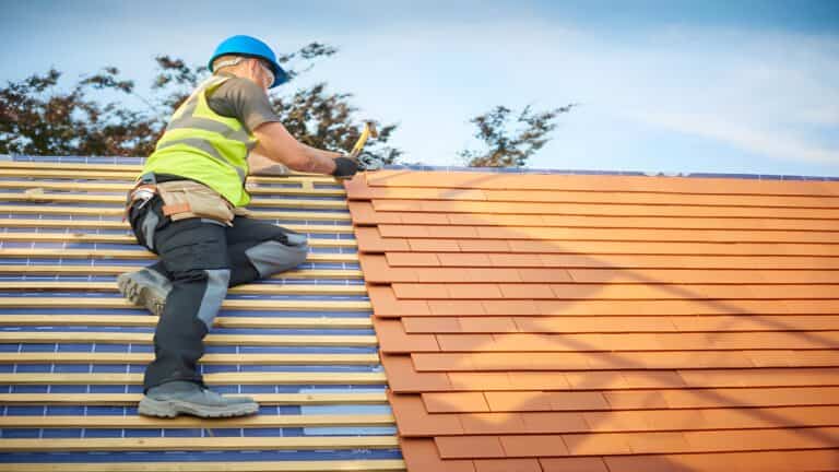 Roof Shingles