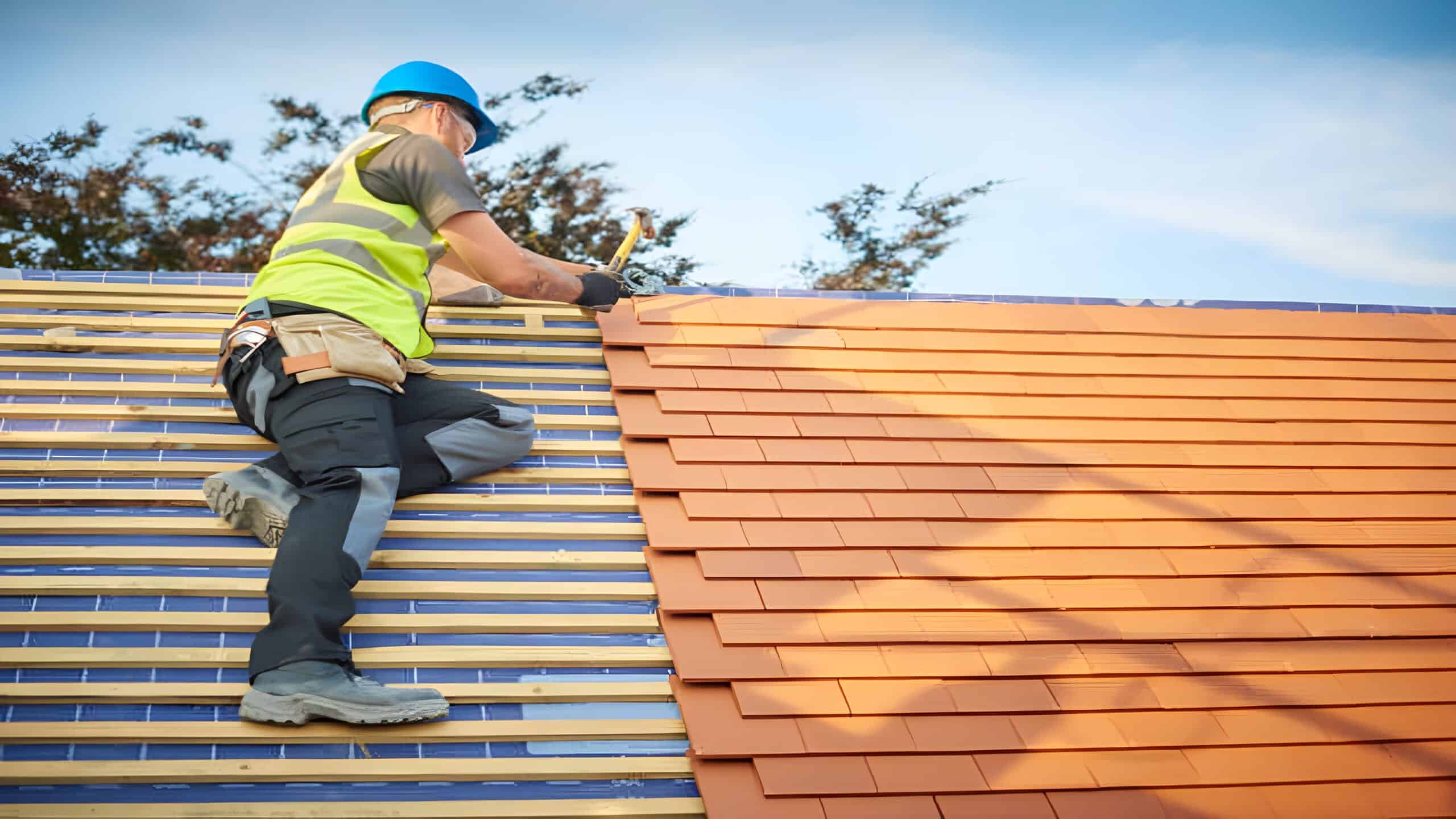 Roof Shingles